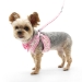 EasyGo Cherish Heart Harness & Lead - dgo-cherishheartharness