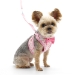 EasyGo Cherish Heart Harness & Lead - dgo-cherishheartharness