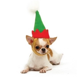 Elf Hat  puppy bed,  beds,dog mat, pet mat, puppy mat, fab dog pet sweater, dog swepet clothes, dog clothes, puppy clothes, pet store, dog store, puppy boutique store, dog boutique, pet boutique, puppy boutique, Bloomingtails, dog, small dog clothes, large dog clothes, large dog costumes, small dog costumes, pet stuff, Halloween dog, puppy Halloween, pet Halloween, clothes, dog puppy Halloween, dog sale, pet sale, puppy sale, pet dog tank, pet tank, pet shirt, dog shirt, puppy shirt,puppy tank, I see spot, dog collars, dog leads, pet collar, pet lead,puppy collar, puppy lead, dog toys, pet toys, puppy toy, dog beds, pet beds, puppy bed,  beds,dog mat, pet mat, puppy mat, fab dog pet sweater, dog sweater, dog winter, pet winter,dog raincoat, pet rai