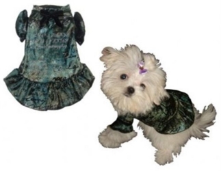 Velvet Dog Dress - Brown or Green dog bowls,susan lanci, puppia,wooflink, luxury dog boutique,tonimari,pet clothes, dog clothes, puppy clothes, pet store, dog store, puppy boutique store, dog boutique, pet boutique, puppy boutique, Bloomingtails, dog, small dog clothes, large dog clothes, large dog costumes, small dog costumes, pet stuff, Halloween dog, puppy Halloween, pet Halloween, clothes, dog puppy Halloween, dog sale, pet sale, puppy sale, pet dog tank, pet tank, pet shirt, dog shirt, puppy shirt,puppy tank, I see spot, dog collars, dog leads, pet collar, pet lead,puppy collar, puppy lead, dog toys, pet toys, puppy toy, dog beds, pet beds, puppy bed,  beds,dog mat, pet mat, puppy mat, fab dog pet sweater, dog sweater, dog winter, pet winter,dog raincoat, pet raincoat,