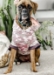 "Emma" Bamboo Fleece Sleeveless Dog Hoodie  - sharp-emma