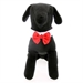 Every Occasion Dog Bow Tie Set (includes 4 bow ties) - dogdes-bowtie-set