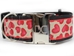 Extra Wide Humble Hearts Dog Collar-Personalizable - diva-humblehearts