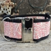 Extra Wide Love Notes Dog Collar-Personalizable  - diva-lovenotes
