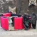 Extra Wide Marilyn Dog Collar-Personalizable  - diva-marilyn