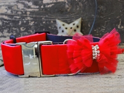 Extra Wide Mrs. Claws Dog Collar-Personalizable  wooflink, susan lanci, dog clothes, small dog clothes, urban pup, pooch outfitters, dogo, hip doggie, doggie design, small dog dress, pet clotes, dog boutique. pet boutique, bloomingtails dog boutique, dog raincoat, dog rain coat, pet raincoat, dog shampoo, pet shampoo, dog bathrobe, pet bathrobe, dog carrier, small dog carrier, doggie couture, pet couture, dog football, dog toys, pet toys, dog clothes sale, pet clothes sale, shop local, pet store, dog store, dog chews, pet chews, worthy dog, dog bandana, pet bandana, dog halloween, pet halloween, dog holiday, pet holiday, dog teepee, custom dog clothes, pet pjs, dog pjs, pet pajamas, dog pajamas,dog sweater, pet sweater, dog hat, fabdog, fab dog, dog puffer coat, dog winter jacket, dog col