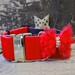 Extra Wide Mrs. Claws Dog Collar-Personalizable  - diva-claws