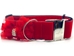 Extra Wide Mrs. Claws Dog Collar-Personalizable  - diva-claws