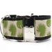 Extra Wide Rain Forest Dog Collar-Personalizable  - diva-rainforest