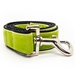 Extra Wide Rain Forest Dog Collar-Personalizable  - diva-rainforest