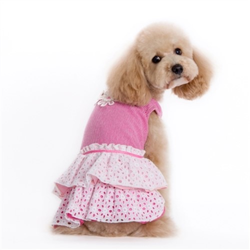 Eyelet Flower Dress  puppy bed,  beds,dog mat, pet mat, puppy mat, fab dog pet sweater, dog swepet clothes, dog clothes, puppy clothes, pet store, dog store, puppy boutique store, dog boutique, pet boutique, puppy boutique, Bloomingtails, dog, small dog clothes, large dog clothes, large dog costumes, small dog costumes, pet stuff, Halloween dog, puppy Halloween, pet Halloween, clothes, dog puppy Halloween, dog sale, pet sale, puppy sale, pet dog tank, pet tank, pet shirt, dog shirt, puppy shirt,puppy tank, I see spot, dog collars, dog leads, pet collar, pet lead,puppy collar, puppy lead, dog toys, pet toys, puppy toy, dog beds, pet beds, puppy bed,  beds,dog mat, pet mat, puppy mat, fab dog pet sweater, dog sweater, dog winter, pet winter,dog raincoat, pet rai