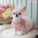 Fairytale Princess Hairbow - wf-fairytaleprincesshair
