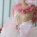 Fairytale Princess - wf-fairytaleprincessdress