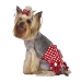 Fancy Pants Dog Diaper - Black Dots or Red Dots - max-blackdotsR-XSZ