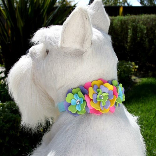 Fantasy Flower Collar - Lots of Choices wooflink, susan lanci, dog clothes, small dog clothes, urban pup, pooch outfitters, dogo, hip doggie, doggie design, small dog dress, pet clotes, dog boutique. pet boutique, bloomingtails dog boutique, dog raincoat, dog rain coat, pet raincoat, dog shampoo, pet shampoo, dog bathrobe, pet bathrobe, dog carrier, small dog carrier, doggie couture, pet couture, dog football, dog toys, pet toys, dog clothes sale, pet clothes sale, shop local, pet store, dog store, dog chews, pet chews, worthy dog, dog bandana, pet bandana, dog halloween, pet halloween, dog holiday, pet holiday, dog teepee, custom dog clothes, pet pjs, dog pjs, pet pajamas, dog pajamas,dog sweater, pet sweater, dog hat, fabdog, fab dog, dog puffer coat, dog winter jacket, dog col