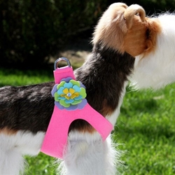 Fantasy Flower Step In Harness in Various Colors wooflink, susan lanci, dog clothes, small dog clothes, urban pup, pooch outfitters, dogo, hip doggie, doggie design, small dog dress, pet clotes, dog boutique. pet boutique, bloomingtails dog boutique, dog raincoat, dog rain coat, pet raincoat, dog shampoo, pet shampoo, dog bathrobe, pet bathrobe, dog carrier, small dog carrier, doggie couture, pet couture, dog football, dog toys, pet toys, dog clothes sale, pet clothes sale, shop local, pet store, dog store, dog chews, pet chews, worthy dog, dog bandana, pet bandana, dog halloween, pet halloween, dog holiday, pet holiday, dog teepee, custom dog clothes, pet pjs, dog pjs, pet pajamas, dog pajamas,dog sweater, pet sweater, dog hat, fabdog, fab dog, dog puffer coat, dog winter jacket, dog col