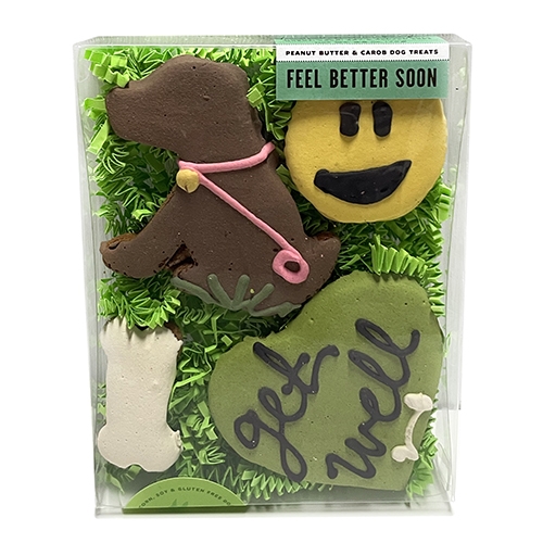 Feel Better Soon Dog Cookies wooflink, susan lanci, dog clothes, small dog clothes, urban pup, pooch outfitters, dogo, hip doggie, doggie design, small dog dress, pet clotes, dog boutique. pet boutique, bloomingtails dog boutique, dog raincoat, dog rain coat, pet raincoat, dog shampoo, pet shampoo, dog bathrobe, pet bathrobe, dog carrier, small dog carrier, doggie couture, pet couture, dog football, dog toys, pet toys, dog clothes sale, pet clothes sale, shop local, pet store, dog store, dog chews, pet chews, worthy dog, dog bandana, pet bandana, dog halloween, pet halloween, dog holiday, pet holiday, dog teepee, custom dog clothes, pet pjs, dog pjs, pet pajamas, dog pajamas,dog sweater, pet sweater, dog hat, fabdog, fab dog, dog puffer coat, dog winter jacket, dog col