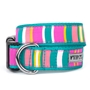 Fiesta Stripe Collar & Lead Collection         wooflink, susan lanci, dog clothes, small dog clothes, urban pup, pooch outfitters, dogo, hip doggie, doggie design, small dog dress, pet clotes, dog boutique. pet boutique, bloomingtails dog boutique, dog raincoat, dog rain coat, pet raincoat, dog shampoo, pet shampoo, dog bathrobe, pet bathrobe, dog carrier, small dog carrier, doggie couture, pet couture, dog football, dog toys, pet toys, dog clothes sale, pet clothes sale, shop local, pet store, dog store, dog chews, pet chews, worthy dog, dog bandana, pet bandana, dog halloween, pet halloween, dog holiday, pet holiday, dog teepee, custom dog clothes, pet pjs, dog pjs, pet pajamas, dog pajamas,dog sweater, pet sweater, dog hat, fabdog, fab dog, dog puffer coat, dog winter jacket, dog col