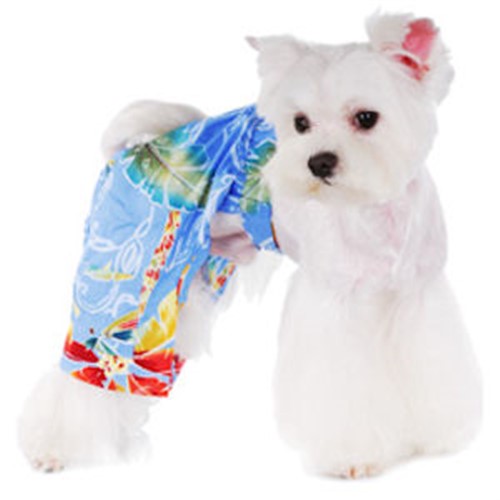 Fiji Beach Pants wooflink, susan lanci, dog clothes, small dog clothes, urban pup, pooch outfitters, dogo, hip doggie, doggie design, small dog dress, pet clotes, dog boutique. pet boutique, bloomingtails dog boutique, dog raincoat, dog rain coat, pet raincoat, dog shampoo, pet shampoo, dog bathrobe, pet bathrobe, dog carrier, small dog carrier, doggie couture, pet couture, dog football, dog toys, pet toys, dog clothes sale, pet clothes sale, shop local, pet store, dog store, dog chews, pet chews, worthy dog, dog bandana, pet bandana, dog halloween, pet halloween, dog holiday, pet holiday, dog teepee, custom dog clothes, pet pjs, dog pjs, pet pajamas, dog pajamas,dog sweater, pet sweater, dog hat, fabdog, fab dog, dog puffer coat, dog winter jacket, dog col