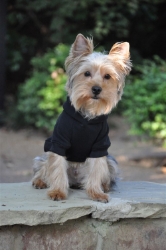 Flex-Fit Dog Hoodie - Black Roxy & Lulu, wooflink, susan lanci, dog clothes, small dog clothes, urban pup, pooch outfitters, dogo, hip doggie, doggie design, small dog dress, pet clotes, dog boutique. pet boutique, bloomingtails dog boutique, dog raincoat, dog rain coat, pet raincoat, dog shampoo, pet shampoo, dog bathrobe, pet bathrobe, dog carrier, small dog carrier, doggie couture, pet couture, dog football, dog toys, pet toys, dog clothes sale, pet clothes sale, shop local, pet store, dog store, dog chews, pet chews, worthy dog, dog bandana, pet bandana, dog halloween, pet halloween, dog holiday, pet holiday, dog teepee, custom dog clothes, pet pjs, dog pjs, pet pajamas, dog pajamas,dog sweater, pet sweater, dog hat, fabdog, fab dog, dog puffer coat, dog winter ja