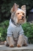 Flex-Fit Dog Hoodie - Gray - dd-flexbgray