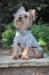 Flex-Fit Dog Hoodie - Gray - dd-flexbgray