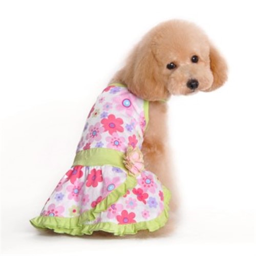 Floral Summer Dog Dress  puppy bed,  beds,dog mat, pet mat, puppy mat, fab dog pet sweater, dog swepet clothes, dog clothes, puppy clothes, pet store, dog store, puppy boutique store, dog boutique, pet boutique, puppy boutique, Bloomingtails, dog, small dog clothes, large dog clothes, large dog costumes, small dog costumes, pet stuff, Halloween dog, puppy Halloween, pet Halloween, clothes, dog puppy Halloween, dog sale, pet sale, puppy sale, pet dog tank, pet tank, pet shirt, dog shirt, puppy shirt,puppy tank, I see spot, dog collars, dog leads, pet collar, pet lead,puppy collar, puppy lead, dog toys, pet toys, puppy toy, dog beds, pet beds, puppy bed,  beds,dog mat, pet mat, puppy mat, fab dog pet sweater, dog sweater, dog winter, pet winter,dog raincoat, pet rai