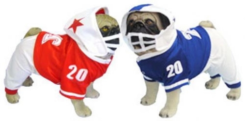 Football Dog Costume dog bowls,susan lanci, puppia,wooflink, luxury dog boutique,tonimari,pet clothes, dog clothes, puppy clothes, pet store, dog store, puppy boutique store, dog boutique, pet boutique, puppy boutique, Bloomingtails, dog, small dog clothes, large dog clothes, large dog costumes, small dog costumes, pet stuff, Halloween dog, puppy Halloween, pet Halloween, clothes, dog puppy Halloween, dog sale, pet sale, puppy sale, pet dog tank, pet tank, pet shirt, dog shirt, puppy shirt,puppy tank, I see spot, dog collars, dog leads, pet collar, pet lead,puppy collar, puppy lead, dog toys, pet toys, puppy toy, dog beds, pet beds, puppy bed,  beds,dog mat, pet mat, puppy mat, fab dog pet sweater, dog sweater, dog winter, pet winter,dog raincoat, pet raincoat,