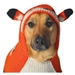 Foxy Dog Hoodie - cd-foxy-hoodie