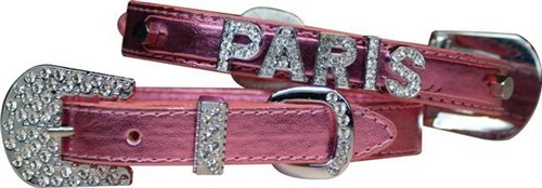 Foxy Glam Two Tier Metallic Dog Collar wooflink, susan lanci, dog clothes, small dog clothes, urban pup, pooch outfitters, dogo, hip doggie, doggie design, small dog dress, pet clotes, dog boutique. pet boutique, bloomingtails dog boutique, dog raincoat, dog rain coat, pet raincoat, dog shampoo, pet shampoo, dog bathrobe, pet bathrobe, dog carrier, small dog carrier, doggie couture, pet couture, dog football, dog toys, pet toys, dog clothes sale, pet clothes sale, shop local, pet store, dog store, dog chews, pet chews, worthy dog, dog bandana, pet bandana, dog halloween, pet halloween, dog holiday, pet holiday, dog teepee, custom dog clothes, pet pjs, dog pjs, pet pajamas, dog pajamas,dog sweater, pet sweater, dog hat, fabdog, fab dog, dog puffer coat, dog winter jacket, dog col