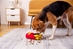French Fry Snuffle Toy - in-frenchfry