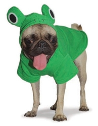 Frog Dog Sweatshirt puppy bed,  beds,dog mat, pet mat, puppy mat, fab dog pet sweater, dog swepet clothes, dog clothes, puppy clothes, pet store, dog store, puppy boutique store, dog boutique, pet boutique, puppy boutique, Bloomingtails, dog, small dog clothes, large dog clothes, large dog costumes, small dog costumes, pet stuff, Halloween dog, puppy Halloween, pet Halloween, clothes, dog puppy Halloween, dog sale, pet sale, puppy sale, pet dog tank, pet tank, pet shirt, dog shirt, puppy shirt,puppy tank, I see spot, dog collars, dog leads, pet collar, pet lead,puppy collar, puppy lead, dog toys, pet toys, puppy toy, dog beds, pet beds, puppy bed,  beds,dog mat, pet mat, puppy mat, fab dog pet sweater, dog sweater, dog winter, pet winter,dog raincoat, pet rain