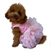 Fufu Tutu Dog Dress in Lots of Sweet Colors - dogsq-fufu