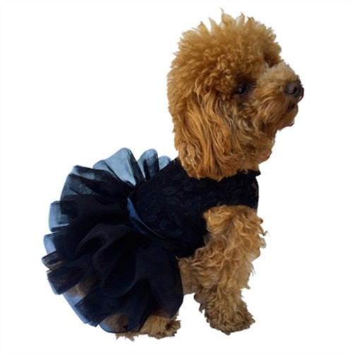 Fufu Tutu Pet Dress-Bloomingtails Dog Boutique Fufu Tutu Pet Dress-Bloomingtails Dog Boutique