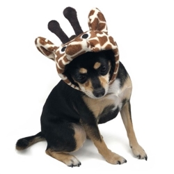 Giraffe Hat   Roxy & Lulu, wooflink, susan lanci, dog clothes, small dog clothes, urban pup, pooch outfitters, dogo, hip doggie, doggie design, small dog dress, pet clotes, dog boutique. pet boutique, bloomingtails dog boutique, dog raincoat, dog rain coat, pet raincoat, dog shampoo, pet shampoo, dog bathrobe, pet bathrobe, dog carrier, small dog carrier, doggie couture, pet couture, dog football, dog toys, pet toys, dog clothes sale, pet clothes sale, shop local, pet store, dog store, dog chews, pet chews, worthy dog, dog bandana, pet bandana, dog halloween, pet halloween, dog holiday, pet holiday, dog teepee, custom dog clothes, pet pjs, dog pjs, pet pajamas, dog pajamas,dog sweater, pet sweater, dog hat, fabdog, fab dog, dog puffer coat, dog winter ja