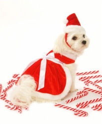 Girl Santa Dog Harness Dress, Hat & Lead wooflink, susan lanci, dog clothes, small dog clothes, urban pup, pooch outfitters, dogo, hip doggie, doggie design, small dog dress, pet clotes, dog boutique. pet boutique, bloomingtails dog boutique, dog raincoat, dog rain coat, pet raincoat, dog shampoo, pet shampoo, dog bathrobe, pet bathrobe, dog carrier, small dog carrier, doggie couture, pet couture, dog football, dog toys, pet toys, dog clothes sale, pet clothes sale, shop local, pet store, dog store, dog chews, pet chews, worthy dog, dog bandana, pet bandana, dog halloween, pet halloween, dog holiday, pet holiday, dog teepee, custom dog clothes, pet pjs, dog pjs, pet pajamas, dog pajamas,dog sweater, pet sweater, dog hat, fabdog, fab dog, dog puffer coat, dog winter jacket, dog col