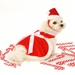 Girl Santa Dog Harness Dress, Hat & Lead - dogdes-santa-girl-harnessX-1KQ