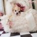 Give Me A Hug Please Hairbow - wf-givemeahairbow