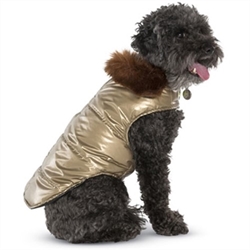 Gold Aspen Puffer Coat Roxy & Lulu, wooflink, susan lanci, dog clothes, small dog clothes, urban pup, pooch outfitters, dogo, hip doggie, doggie design, small dog dress, pet clotes, dog boutique. pet boutique, bloomingtails dog boutique, dog raincoat, dog rain coat, pet raincoat, dog shampoo, pet shampoo, dog bathrobe, pet bathrobe, dog carrier, small dog carrier, doggie couture, pet couture, dog football, dog toys, pet toys, dog clothes sale, pet clothes sale, shop local, pet store, dog store, dog chews, pet chews, worthy dog, dog bandana, pet bandana, dog halloween, pet halloween, dog holiday, pet holiday, dog teepee, custom dog clothes, pet pjs, dog pjs, pet pajamas, dog pajamas,dog sweater, pet sweater, dog hat, fabdog, fab dog, dog puffer coat, dog winter ja