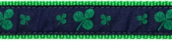 Shamrock Collar, Lead & Harness 1.25 inch kosher, hanukkah, toy, jewish, toy, puppy bed,  beds,dog mat, pet mat, puppy mat, fab dog pet sweater, dog swepet clothes, dog clothes, puppy clothes, pet store, dog store, puppy boutique store, dog boutique, pet boutique, puppy boutique, Bloomingtails, dog, small dog clothes, large dog clothes, large dog costumes, small dog costumes, pet stuff, Halloween dog, puppy Halloween, pet Halloween, clothes, dog puppy Halloween, dog sale, pet sale, puppy sale, pet dog tank, pet tank, pet shirt, dog shirt, puppy shirt,puppy tank, I see spot, dog collars, dog leads, pet collar, pet lead,puppy collar, puppy lead, dog toys, pet toys, puppy toy, dog beds, pet beds, puppy bed,  beds,dog mat, pet mat, puppy mat, fab dog pet sweater, dog sweater, dog winte