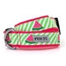 Green Stripe Watermelon Collar & Lead Collection       - wd-stripewatermelon