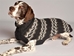 Grey Diamond Dog Sweater - cd-greydiamond-sweater