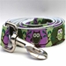 H'Owl Avacado Dog Collar-Personalizable   - diva-howlava