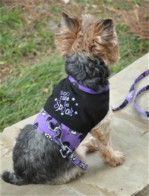 Halloween Dog Harness - Too Cute to Spook beds, puppy bed,  beds,dog mat, pet mat, puppy mat, fab dog pet sweater, dog swepet clothes, dog clothes, puppy clothes, pet store, dog store, puppy boutique store, dog boutique, pet boutique, puppy boutique, Bloomingtails, dog, small dog clothes, large dog clothes, large dog costumes, small dog costumes, pet stuff, Halloween dog, puppy Halloween, pet Halloween, clothes, dog puppy Halloween, dog sale, pet sale, puppy sale, pet dog tank, pet tank, pet shirt, dog shirt, puppy shirt,puppy tank, I see spot, dog collars, dog leads, pet collar, pet lead,puppy collar, puppy lead, dog toys, pet toys, puppy toy, dog beds, pet beds, puppy bed,  beds,dog mat, pet mat, puppy mat, fab dog pet sweater, dog sweater, dog winter, pet winter,dog raincoat, pe