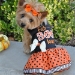 Halloween Girls Harness Dress - Fab-BOO-Lous - dd-boo-dress