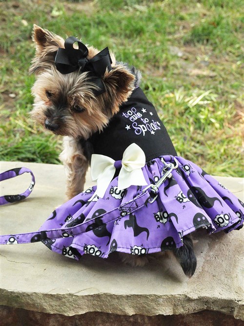 Halloween Girls Harness Dress - Too Cute to Spook beds, puppy bed,  beds,dog mat, pet mat, puppy mat, fab dog pet sweater, dog swepet clothes, dog clothes, puppy clothes, pet store, dog store, puppy boutique store, dog boutique, pet boutique, puppy boutique, Bloomingtails, dog, small dog clothes, large dog clothes, large dog costumes, small dog costumes, pet stuff, Halloween dog, puppy Halloween, pet Halloween, clothes, dog puppy Halloween, dog sale, pet sale, puppy sale, pet dog tank, pet tank, pet shirt, dog shirt, puppy shirt,puppy tank, I see spot, dog collars, dog leads, pet collar, pet lead,puppy collar, puppy lead, dog toys, pet toys, puppy toy, dog beds, pet beds, puppy bed,  beds dog mat, pet mat, puppy mat, fab dog pet sweater, dog sweater, dog winter, pet winter,dog raincoat, pe