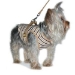 Harness Shirt/Vest/w Optional Matching Lead - dogo-dgharnessB-RWE