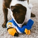 Hatchables Toucan Dog Toy   - fetch-toucan