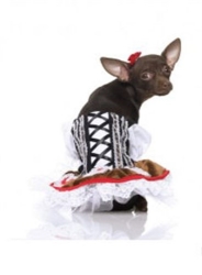 Heidi Dog Dress Costume  puppy bed,  beds,dog mat, pet mat, puppy mat, fab dog pet sweater, dog swepet clothes, dog clothes, puppy clothes, pet store, dog store, puppy boutique store, dog boutique, pet boutique, puppy boutique, Bloomingtails, dog, small dog clothes, large dog clothes, large dog costumes, small dog costumes, pet stuff, Halloween dog, puppy Halloween, pet Halloween, clothes, dog puppy Halloween, dog sale, pet sale, puppy sale, pet dog tank, pet tank, pet shirt, dog shirt, puppy shirt,puppy tank, I see spot, dog collars, dog leads, pet collar, pet lead,puppy collar, puppy lead, dog toys, pet toys, puppy toy, dog beds, pet beds, puppy bed,  beds,dog mat, pet mat, puppy mat, fab dog pet sweater, dog sweater, dog winter, pet winter,dog raincoat, pet rai