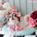 Hi Spring Hairbow - wf-hispringhairbow